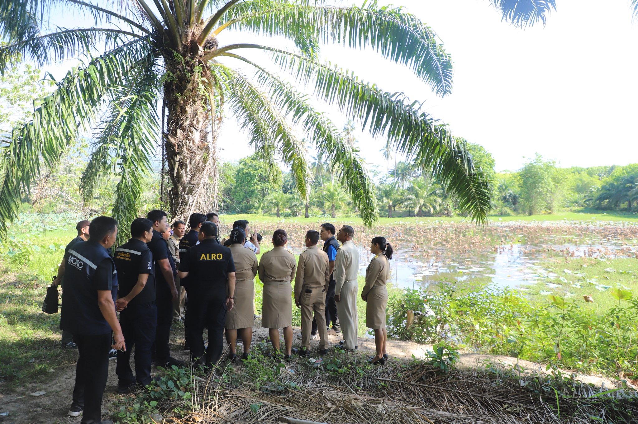 title - ข่าวดีชาวกระบี่ รมช.เกษตรฯ ลงพื้นที่ติดตามโปรเจกต์ยักษ์ ส.ป.ก. เร่งพัฒนาโครงสร้างพื้นฐานแปลงพื้นที่เป้าหมาย คทช. ในเขตปฏิรูปที่ดิน กว่า 4,300 ไร่ มุ่งสร้างอาชีพอย่างยั่งยืน